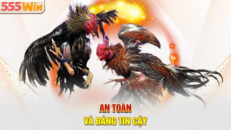 Đá gà 555win cam kết cung cấp một môi trường chơi game an toàn và bảo mật